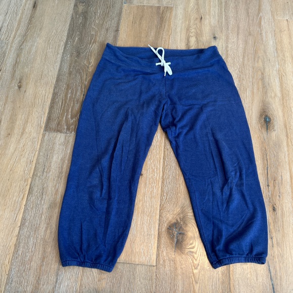 Monrow Pants - Monrow Classic Super Soft Vintage Sweatpants Knit Lounge Crop Blue Like New S